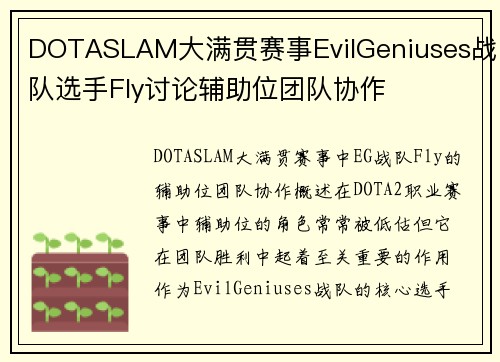 DOTASLAM大满贯赛事EvilGeniuses战队选手Fly讨论辅助位团队协作