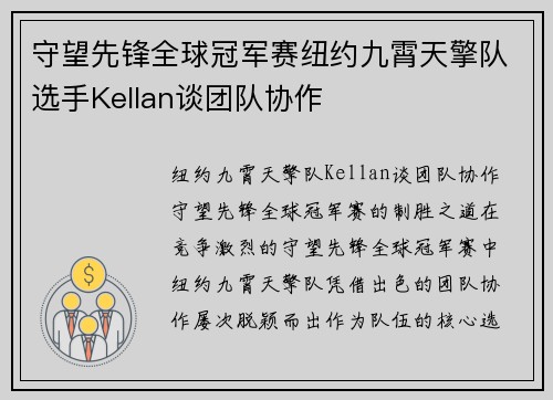 守望先锋全球冠军赛纽约九霄天擎队选手Kellan谈团队协作